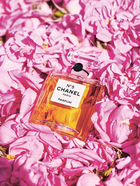 Chanel No22 100 Year Perfume Review and Birthday Celebration - N